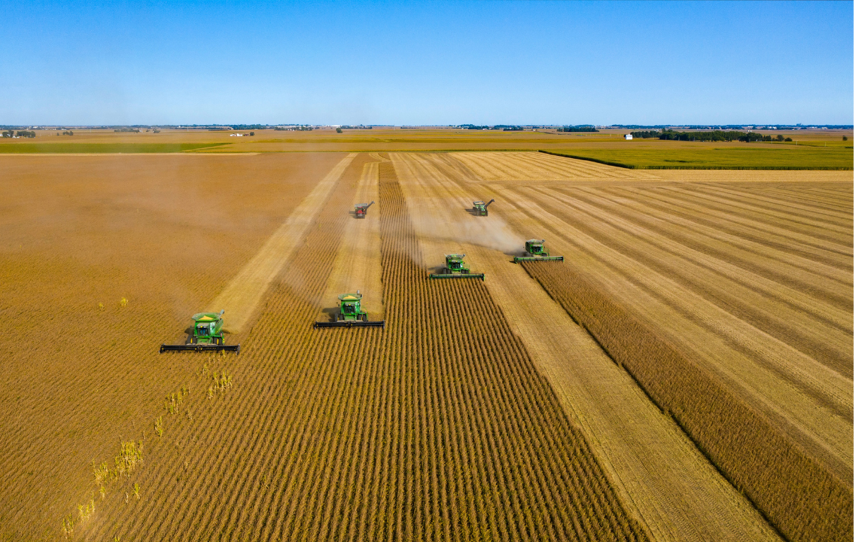 Side-by-side comparison: soybean field with falling prices chart vs hemp fiber field with rising returns chart