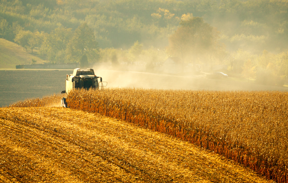 hemp grain and hemp fiber harvesting hemp association